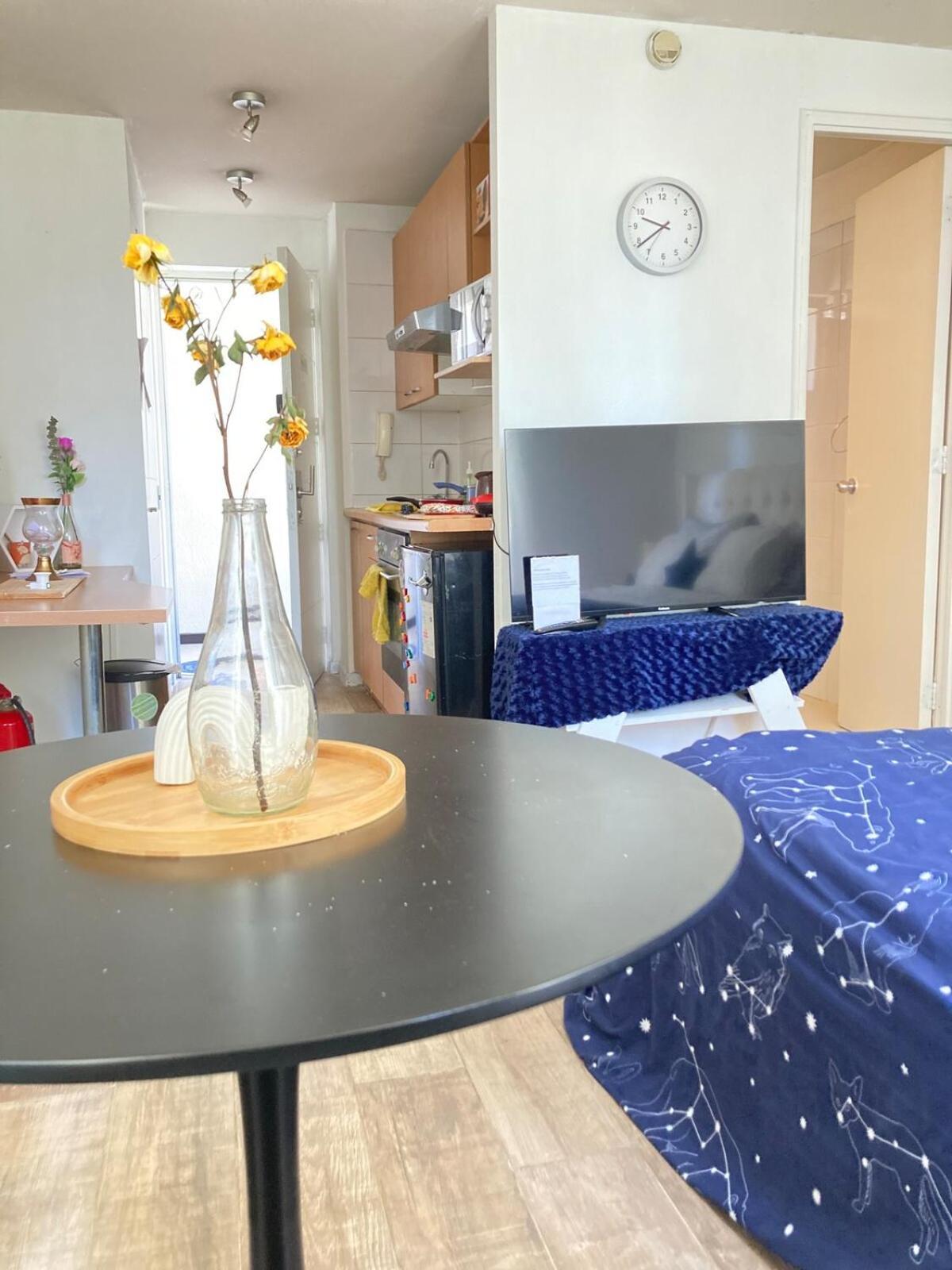 Apartamento Depa Glam Centro Con Piscina Santiago
