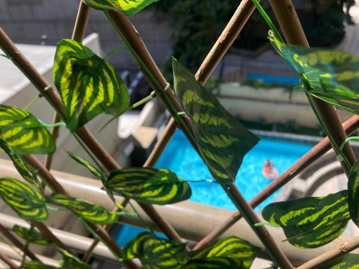 Depa Glam Centro Con Piscina Apartamento